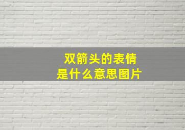 双箭头的表情是什么意思图片