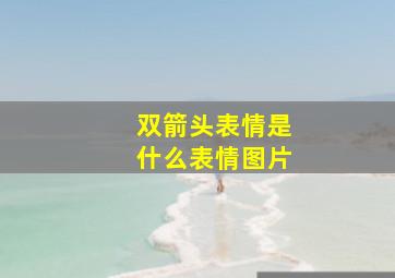 双箭头表情是什么表情图片