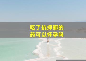 吃了抗抑郁的药可以怀孕吗