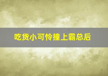 吃货小可怜撞上霸总后