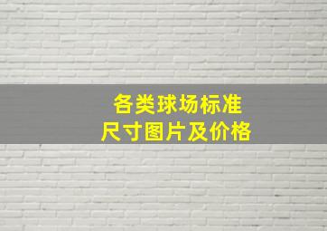 各类球场标准尺寸图片及价格