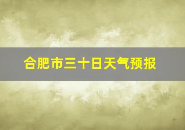 合肥市三十日天气预报