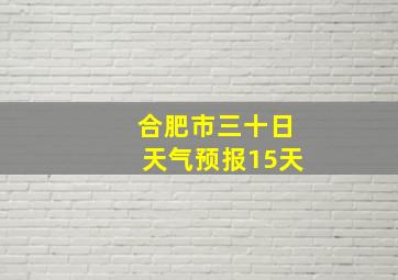 合肥市三十日天气预报15天