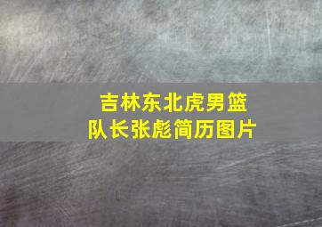 吉林东北虎男篮队长张彪简历图片