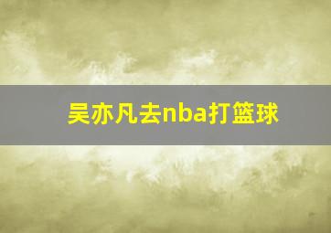 吴亦凡去nba打篮球