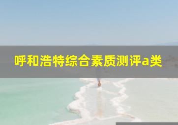 呼和浩特综合素质测评a类