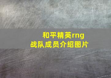 和平精英rng战队成员介绍图片