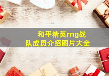 和平精英rng战队成员介绍图片大全