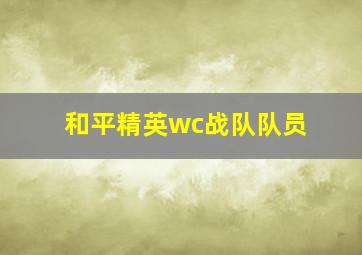 和平精英wc战队队员