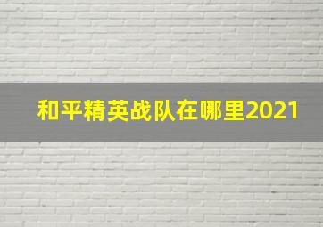 和平精英战队在哪里2021