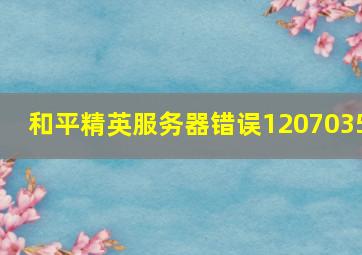 和平精英服务器错误1207035