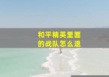 和平精英里面的战队怎么退