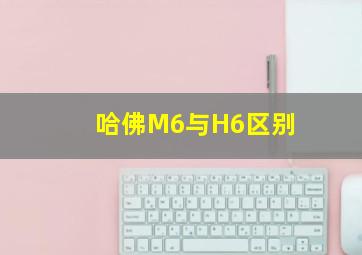 哈佛M6与H6区别