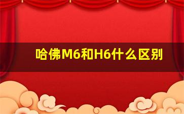 哈佛M6和H6什么区别