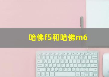 哈佛f5和哈佛m6