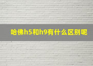 哈佛h5和h9有什么区别呢