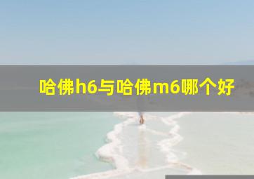 哈佛h6与哈佛m6哪个好