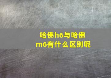 哈佛h6与哈佛m6有什么区别呢