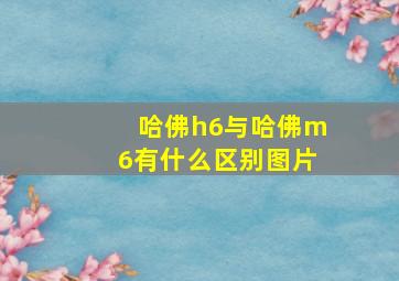 哈佛h6与哈佛m6有什么区别图片