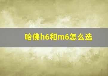 哈佛h6和m6怎么选