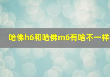 哈佛h6和哈佛m6有啥不一样