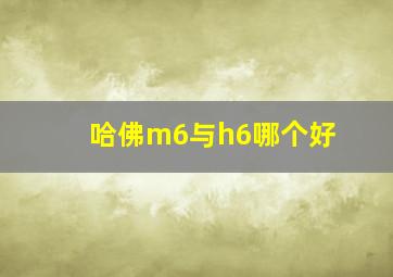 哈佛m6与h6哪个好