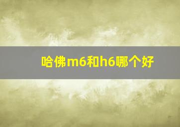 哈佛m6和h6哪个好