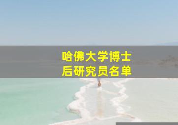 哈佛大学博士后研究员名单