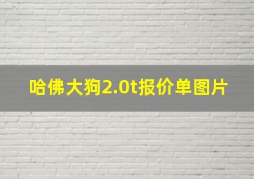 哈佛大狗2.0t报价单图片