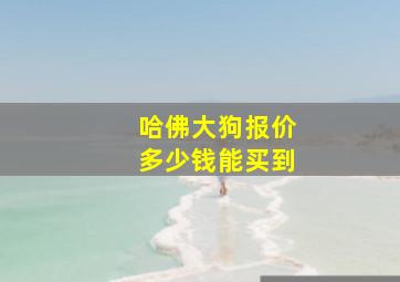 哈佛大狗报价多少钱能买到