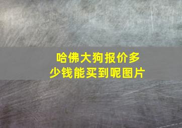 哈佛大狗报价多少钱能买到呢图片