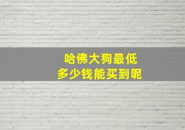 哈佛大狗最低多少钱能买到呢