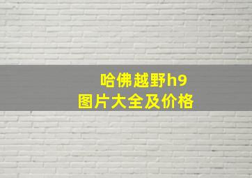 哈佛越野h9图片大全及价格