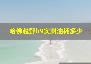 哈佛越野h9实测油耗多少