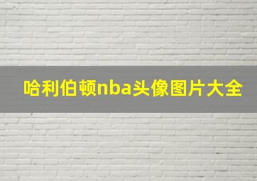 哈利伯顿nba头像图片大全