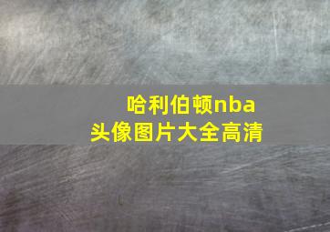 哈利伯顿nba头像图片大全高清