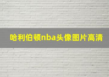 哈利伯顿nba头像图片高清