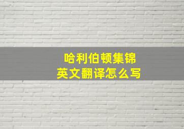 哈利伯顿集锦英文翻译怎么写