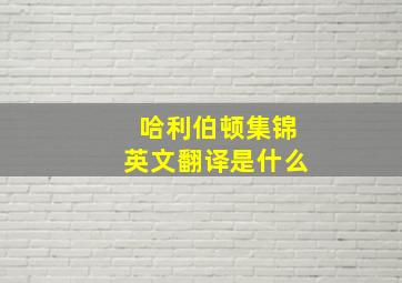 哈利伯顿集锦英文翻译是什么