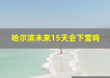 哈尔滨未来15天会下雪吗