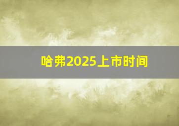 哈弗2025上市时间