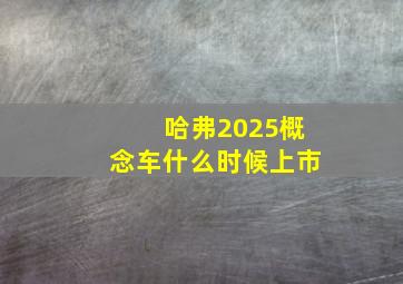 哈弗2025概念车什么时候上市