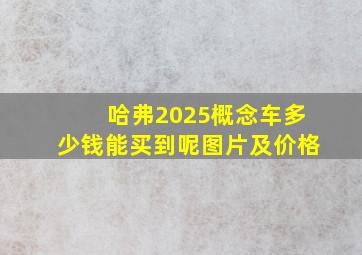 哈弗2025概念车多少钱能买到呢图片及价格