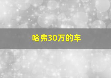 哈弗30万的车