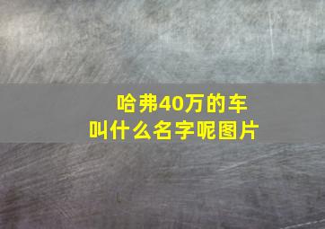 哈弗40万的车叫什么名字呢图片