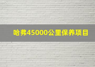 哈弗45000公里保养项目