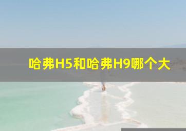 哈弗H5和哈弗H9哪个大