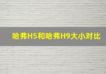 哈弗H5和哈弗H9大小对比