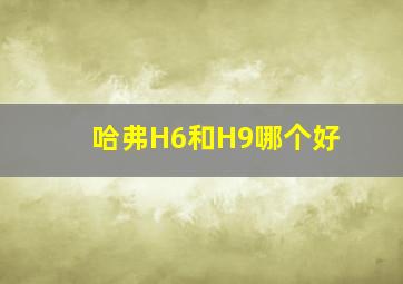 哈弗H6和H9哪个好