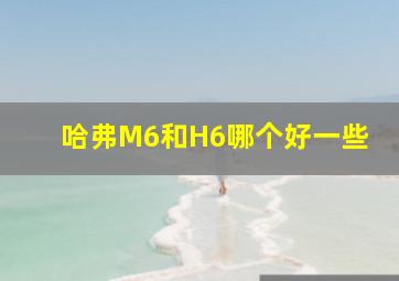 哈弗M6和H6哪个好一些